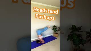 Advanced Routine The Headstand Pushup  A Total Body Workout Challenge [upl. by Burkhardt]