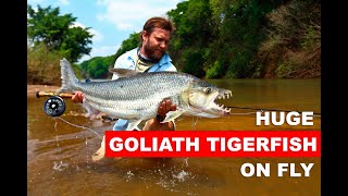 Expedition to the Congo to fish for a Goliath Tigerfish on fly [upl. by Ardnasella309]