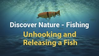 How to Fish  Unhooking and Release [upl. by Perron]