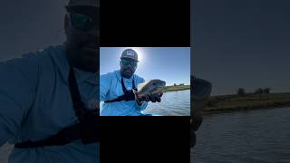 Catching gills over 1Lb🤯 panfish bluegill bass adventure lovenaturelovers nature magic [upl. by Hauhsoj]