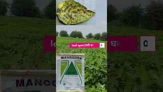 MANCOZEB Fungicide ka upyog kaise kare shorts agrishort mancozeb [upl. by Awad483]