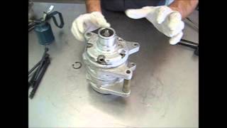 Denso 10P Series Shaft Seal Replacement [upl. by Quincy]