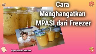 Cara Menghangatkan Makanan Bayi MPASI dari Freezer dan Kulkas [upl. by Etnom]