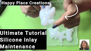 How To Care For Your Silicone Inlays Maintenance Guide 2024 [upl. by Jerri]