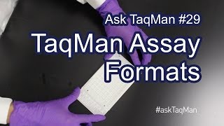 TaqMan Assay Formats Explained  Ask TaqMan 29 [upl. by Fee]