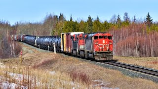 GMD SD60F Canadian National Zebra Stripe Leaders On The Mainline  Throwback Thursday [upl. by Ecikram]