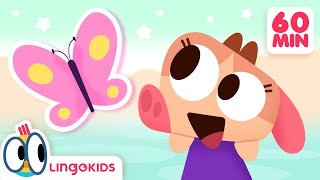 THE BUTTERFLY SONG 🦋🔍🎶  More Songs for Kids  Lingokids [upl. by Gittel]