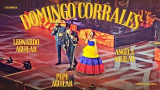 Domingo Corrales  Leonardo Aguilar  Movistar Arena [upl. by Annaxor]