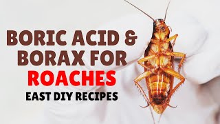 Boric Acid and Borax For Roaches Easy Recipes [upl. by Fadas114]