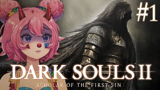 Bearer seek seek lest 💀🗡⚰️ FIRST TIME playing Dark Souls 2 PART 1 [upl. by Aeriell]