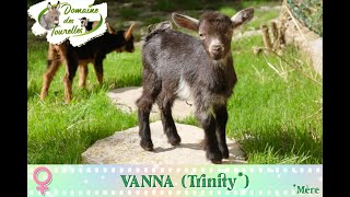 Diaporama de VANNA Trinity  2024 [upl. by Tildi]