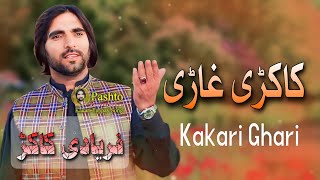 Faryadi Kakar New Kakari Ghari 2024 [upl. by Alethia35]