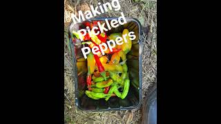 Making Pickled Peppers [upl. by Atiniv145]