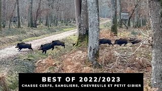 BEST OF 20222023  CHASSE AUX CERFS SANGLIERS CHEVREUILS ET PETIT GIBIER [upl. by Bridie771]