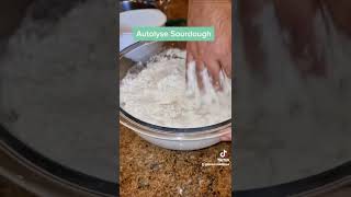 Part 2  Autolysing  Sourdough Bread Easy Recipe [upl. by Dawkins924]