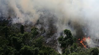 Incendios forestales en el Amazonas avanzan a una velocidad récord [upl. by Demott]