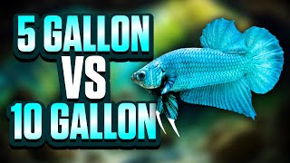 5 Gallon Vs 10 Gallon Tanks Which Aquarium Size Is Best For You [upl. by Willetta]