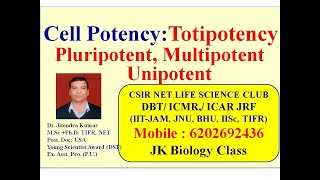 Cell Potency  Totipotency  Pluripotent  Multipotent  Unipotent  CSIR NET LIFESCEINCE [upl. by Acyre529]