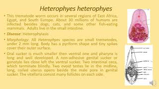 Helminthology Lec 3 [upl. by Durno831]