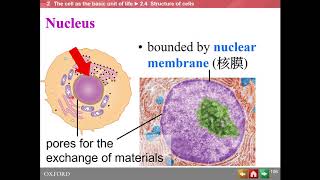 HKDSE Biology  The Cell as the basic unit of life  Part 2 [upl. by Prager]