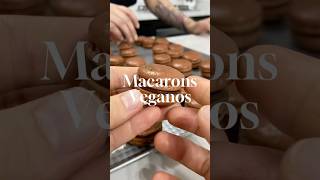 Insistir em algo por 5 anos é persistência ou loucura macaron vegano semgluten [upl. by Mignonne226]