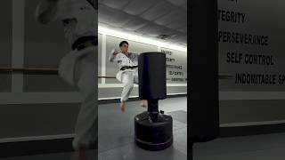 Taekwondo Striking amp Combinations  Kicking Techniques shorts [upl. by Alyekahs]