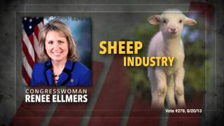 Renee Ellmers  Way Too Liberal for NC [upl. by Bradly224]