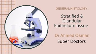 Stratified amp Glandular Epithelium General Histology [upl. by Zoltai]