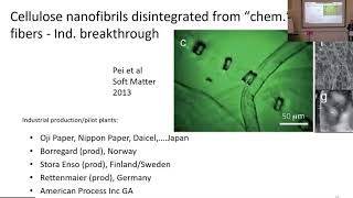 Transparent wood and the concept of nanostructured biocomposites [upl. by Astrahan]