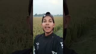 दम है तो हसी रोक कर दिखाओ।sourbh comedian  comedy comedy funny viralvideo sorts manimerajco [upl. by Okajima]