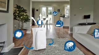 3M Filtrete Room Air Purifiers [upl. by Joon]