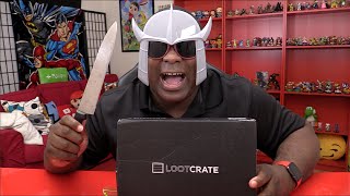 LETS FIGHT  Loot Crate Unboxing November 2015 [upl. by Enirhtak676]