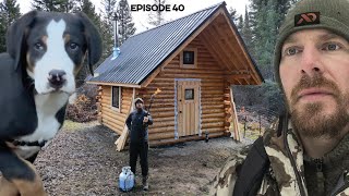 Log Cabin Build on OffGrid Homestead EP40 Woodshed Shou Sugi Fire Preservation [upl. by Eseuqram]