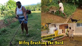 Wifey Brushes the Yard  How did She Do [upl. by Repotsirhc]