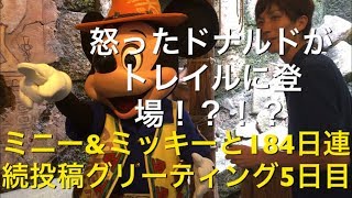 ミニーampミッキーと184日連続投稿グリーティング5日目〜ドナルドがトレイルに登場！？〜 my Disney tour day 5 I meet minnie mouse amp mickey mouse [upl. by Odlonyer960]