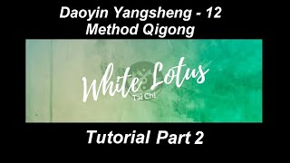 Daoyin Yangsheng 12 Method Qigong Tutorial Part 2  White Lotus Tai Chi [upl. by Britni9]