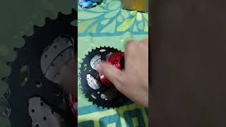 Hassns pro 7 hub 8 speed Ragusa cogs for folding bike [upl. by Adnoyek]