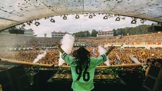 Tomorrowland Belgium 2016  Steve Aoki [upl. by Siffre]