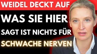 Alice Weidel enthüllt die SCHMUTZIGEN PLÄNE die FAESER und MERZ mit UNS haben 🚨 Unfassbar [upl. by Pasia]