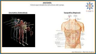 GENERALIDADES DE ANATOMÍA [upl. by Sirrom]