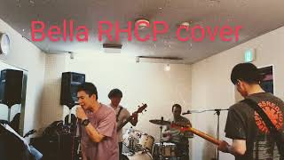 Bella red hot chili peppers band cover [upl. by Trammel361]