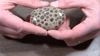 How to Hand Polish a Petoskey Stone [upl. by Narot]