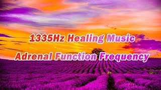 1335Hz Healing Music 247 ❤️Raise Your Positive Vibration丨Adrenal Function Normalization [upl. by Inalej]