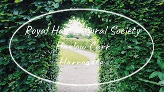 Royal Horticultural Society at Harlow Carr Harrogate 2024 [upl. by Ailadi642]