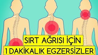 SIRT AĞRISI İÇİN 1 DAKİKALIK EGZERSİZLER [upl. by Aletsirc677]