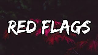 Red Flags  Mimi Webb Lyrics [upl. by Ahcim993]