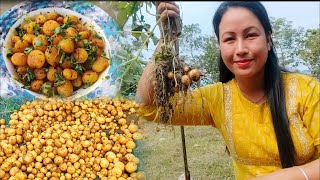 Aang na Bari ni Aaloo bese burja aangkharkhwBaby Potatoes Harvest in my garden [upl. by Forsyth702]