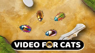 CAT GAMES  Bugs Insects Video for Cats  CAT TV  1 Hour [upl. by Stella720]