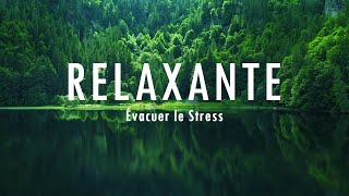 Musique relaxante pour lisolement et la tranquillité desprit arrêtez lanxiété• Évacuer le Stress [upl. by Ludwog]