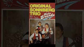 Sonnberg Trio  volksmusik  polka  oberkrainer  viralvideo  shorts [upl. by Ailsa397]